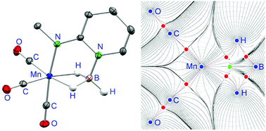 Graphical abstract: Octahedral manganese(i) and ruthenium(ii) complexes containing 2-(methylamido)pyridine–borane as a tripod κ3N,H,H-ligand