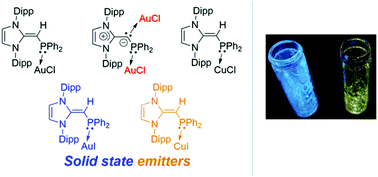 Graphical abstract: Engaging dual donor sites within an N-heterocyclic olefin phosphine ligand