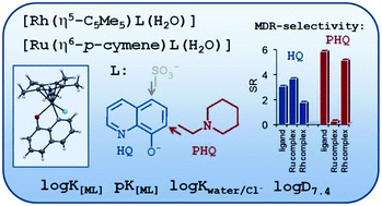 Graphical abstract: Comparative solution equilibrium studies of antitumor ruthenium(η6-p-cymene) and rhodium(η5-C5Me5) complexes of 8-hydroxyquinolines