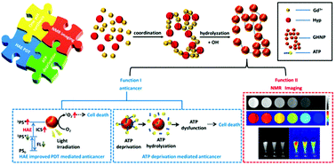 Graphical abstract: One-pot method to prepare a theranostic nanosystem with magnetic resonance imaging function and anticancer activity through multiple mechanisms