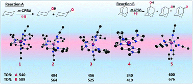 Graphical abstract: Novel nickel(ii) complexes of sterically modified linear N4 ligands: effect of ligand stereoelectronic factors and solvent of coordination on nickel(ii) spin-state and catalytic alkane hydroxylation