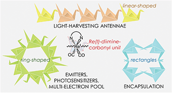 Graphical abstract: Photofunctional multinuclear rhenium(i) diimine carbonyl complexes