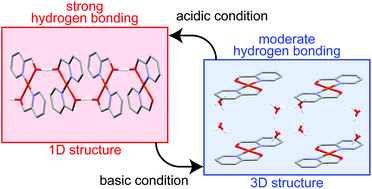 Graphical abstract: pH-Dependent structural diversity of a 2-pyridinemethanol Cu complex and its relatively strong magnetic exchange coupling via hydrogen bonding