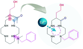 Graphical abstract: Tuning the copper(ii) coordination properties of cyclam by subtle chemical modifications