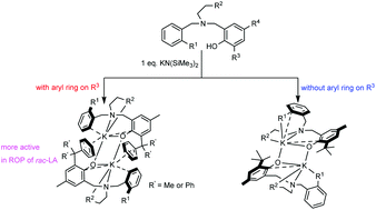 Graphical abstract: Potassium complexes supported by monoanionic tetradentate amino-phenolate ligands: synthesis, structure and catalysis in the ring-opening polymerization of rac-lactide