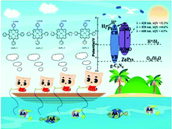 Graphical abstract: Syntheses of asymmetric zinc porphyrins bearing different pseudo-pyridine substituents and their photosensitization for visible-light-driven H2 production activity