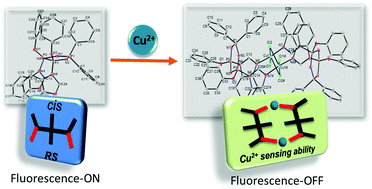 Graphical abstract: Imidazole/benzimidazole-modified cyclotriphosphazenes as highly selective fluorescent probes for Cu2+: synthesis, configurational isomers, and crystal structures
