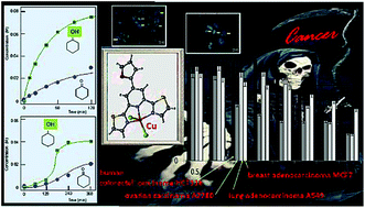 Graphical abstract: Copper(ii) complexes of functionalized 2,2′:6′,2′′-terpyridines and 2,6-di(thiazol-2-yl)pyridine: structure, spectroscopy, cytotoxicity and catalytic activity