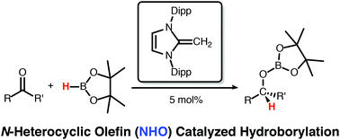 Graphical abstract: Organocatalytic hydroborylation promoted by N-heterocyclic olefins