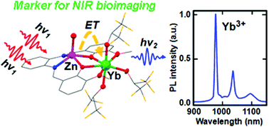 Graphical abstract: Sensitization of NIR luminescence of Yb3+ by Zn2+ chromophores in heterometallic complexes with a bridging Schiff-base ligand