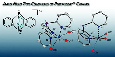 Graphical abstract: Tris(2-pyridyl)phosphine as a versatile ligand for pnictogen acceptors