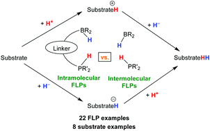 Graphical abstract: Influence of intramolecular vs. intermolecular phosphonium-borohydrides in catalytic hydrogen, hydride, and proton transfer reactions
