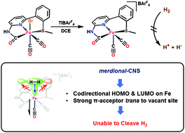 Graphical abstract: Substitution reactions of iron(ii) carbamoyl-thioether complexes related to mono-iron hydrogenase