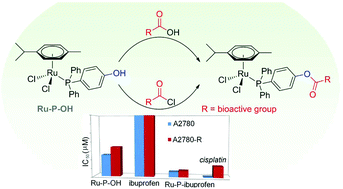 Graphical abstract: A general strategy to add diversity to ruthenium arene complexes with bioactive organic compounds via a coordinated (4-hydroxyphenyl)diphenylphosphine ligand
