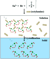 Graphical abstract: A new method for the preparation of a [Sn2(H2PO2)3]Br SHG-active polar crystal via surfactant-induced strategy