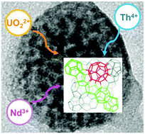 Graphical abstract: Capture of actinides (Th4+, [UO2]2+) and surrogating lanthanide (Nd3+) in porous metal–organic framework MIL-100(Al) from water: selectivity and imaging of embedded nanoparticles