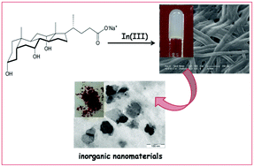 Graphical abstract: Metallogels of indium(iii) with bile salts: soft materials for nanostructured In2S3 synthesis