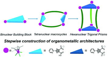 Graphical abstract: Stepwise construction of discrete parallelogram- and prism-shaped organometallic architectures based on half-sandwich rhodium fragments