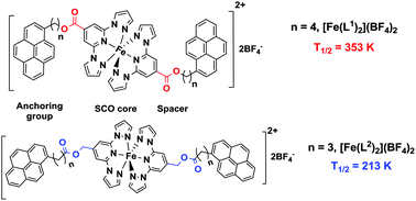 Graphical abstract: Spacer type mediated tunable spin crossover (SCO) characteristics of pyrene decorated 2,6-bis(pyrazol-1-yl)pyridine (bpp) based Fe(ii) molecular spintronic modules