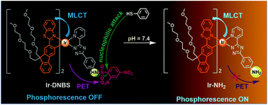 Graphical abstract: Highly sensitive iridium(iii) complex-based phosphorescent probe for thiophenol detection