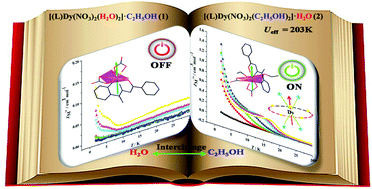 Graphical abstract: Interchange between coordinated and lattice solvents generates the highest energy barrier within nine-coordinated DyIII single molecule magnets