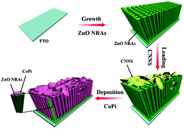Graphical abstract: Advanced bi-functional CoPi co-catalyst-decorated g-C3N4 nanosheets coupled with ZnO nanorod arrays as integrated photoanodes