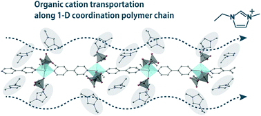 Graphical abstract: Imidazolium cation transportation in a 1-D coordination polymer