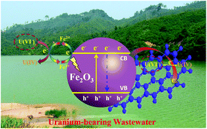 Graphical abstract: Enhanced photocatalytic reduction activity of uranium(vi) from aqueous solution using the Fe2O3–graphene oxide nanocomposite