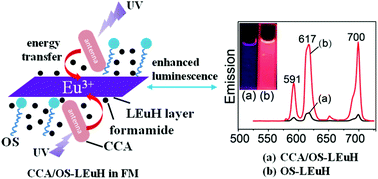 Graphical abstract: Enhanced luminescence of delaminated layered europium hydroxide (LEuH) composites with sensitizer anions of coumarin-3-carboxylic acid