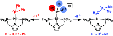Graphical abstract: NI(ii) phosphine and phosphide complexes supported by a PNP-pyrrole pincer ligand
