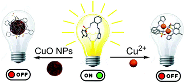 Graphical abstract: Exploration of an easily synthesized fluorescent probe for detecting copper in aqueous samples