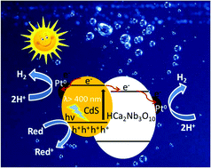Graphical abstract: A hybrid of CdS/HCa2Nb3O10 ultrathin nanosheets for promoting photocatalytic hydrogen evolution