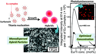 Graphical abstract: Preparation of Eu(iii) acetylacetonate-doped well-defined titania particles with efficient photoluminescence properties