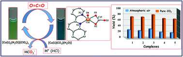 Graphical abstract: Catalytic fixation of atmospheric carbon dioxide by copper(ii) complexes of bidentate ligands