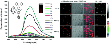 Graphical abstract: A novel phosphorescent iridium(iii) complex bearing a donor–acceptor-type o-carboranylated ligand for endocellular hypoxia imaging