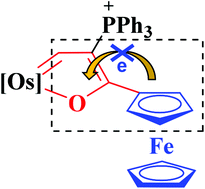 Graphical abstract: Syntheses, structural characterisation and electronic structures of ferrocenyl-osmafuran heterobinuclear organometallic complexes