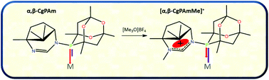 Graphical abstract: Amidine functionalized phosphines: tuneable ligands for transition metals
