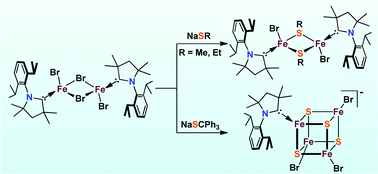 Graphical abstract: Synthesis and reactivity of thiolate-bridged multi-iron complexes supported by cyclic (alkyl)(amino)carbene