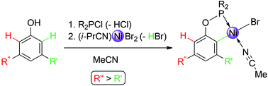Graphical abstract: C–H nickellation of phenol-derived phosphinites: regioselectivity and structures of cyclonickellated complexes