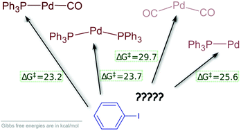 Graphical abstract: Viable pathways for the oxidative addition of iodobenzene to palladium(0)-triphenylphosphine-carbonyl complexes: a theoretical study