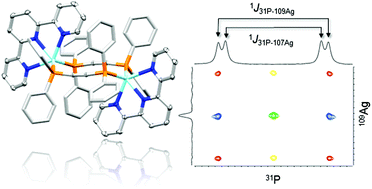 Graphical abstract: Self-assembly of heteroleptic dinuclear silver(i) complexes bridged by bis(diphenylphosphino)ethyne