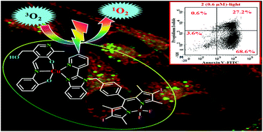 Graphical abstract: Targeted photodynamic therapy in visible light using BODIPY-appended copper(ii) complexes of a vitamin B6 Schiff base