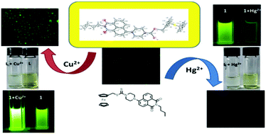Graphical abstract: A novel ferrocenyl–naphthalimide as a multichannel probe for the detection of Cu(ii) and Hg(ii) in aqueous media and living cells