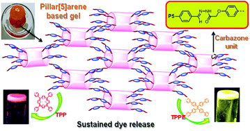 Graphical abstract: A pillar[5]arene based gel from a low-molecular-weight gelator for sustained dye release in water