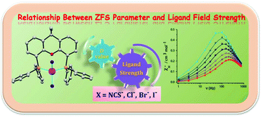 Graphical abstract: A new series of tetrahedral Co(ii) complexes [CoLX2] (X = NCS, Cl, Br, I) manifesting single-ion magnet features