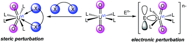 Graphical abstract: Understanding the origins of Oyl–U–Oyl bending in the uranyl (UO22+) ion
