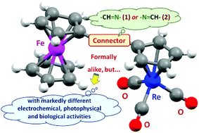 Graphical abstract: Isomeric and hybrid ferrocenyl/cyrhetrenyl aldimines: a new family of multifunctional compounds