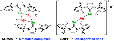 Graphical abstract: Diverse silver(i) coordination chemistry with cyclic selenourea ligands