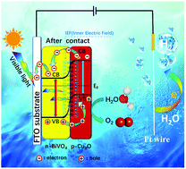 Graphical abstract: Two-step electrodeposition to fabricate the p–n heterojunction of a Cu2O/BiVO4 photoanode for the enhancement of photoelectrochemical water splitting