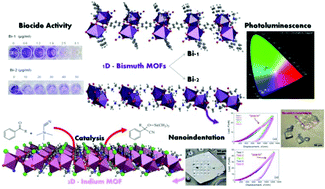 Graphical abstract: Exploring physical and chemical properties in new multifunctional indium-, bismuth-, and zinc-based 1D and 2D coordination polymers